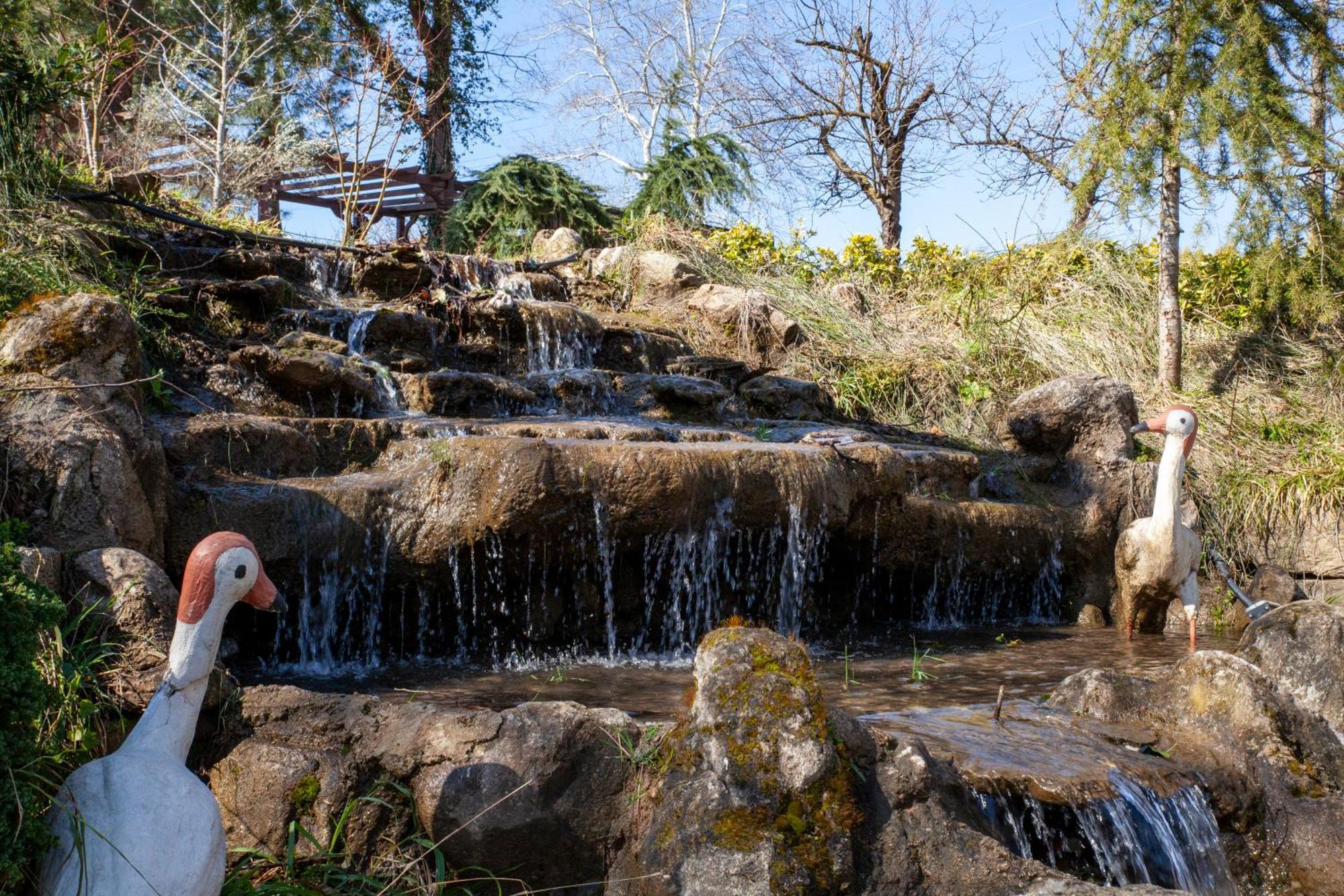 Elgarden Hotel & Spa Masukiye Exteriér fotografie
